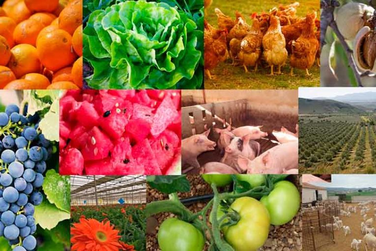 Campaña 'Elige producto de la tierra, ganas tú, ganamos todos'