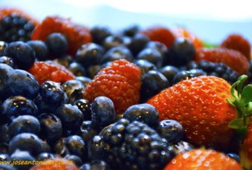 Ecoculture fomenta las propiedades del consumo de berries