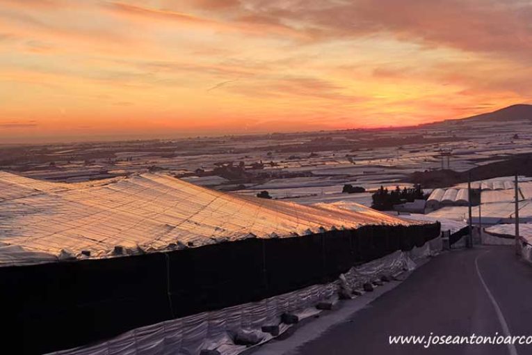 Desplazamientos individuales y con aforo al 50% en vehículos agrícolas