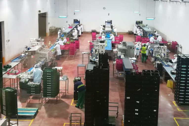 Los exportadores de Murcia crean protocolos frente al coronavirus