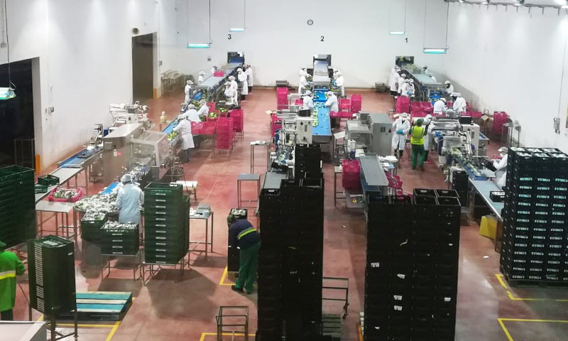 Los exportadores de Murcia crean protocolos frente al coronavirus