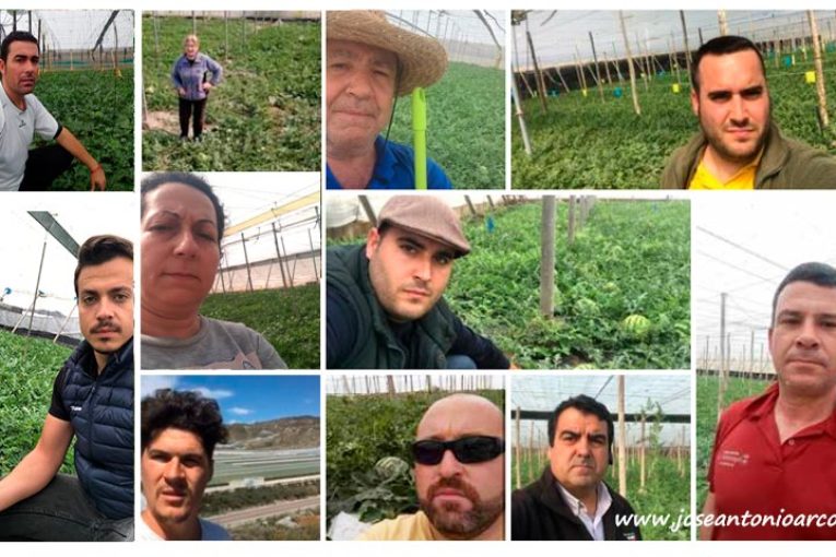 Los agricultores se organizan para no vender sandías por debajo de 65 céntimos