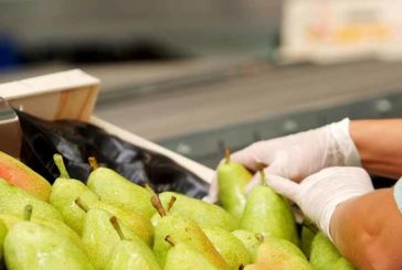 Afrucat hace un pedido a China de EPIS para las cooperativas de fruta