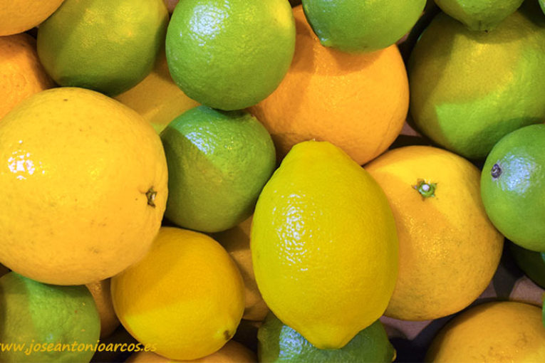 La recolección de cítricos camina hacia una nueva mecanización