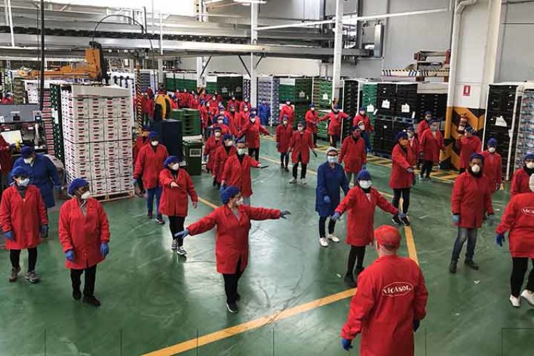 Protocolos contra covid-19 en cooperativas como Vicasol