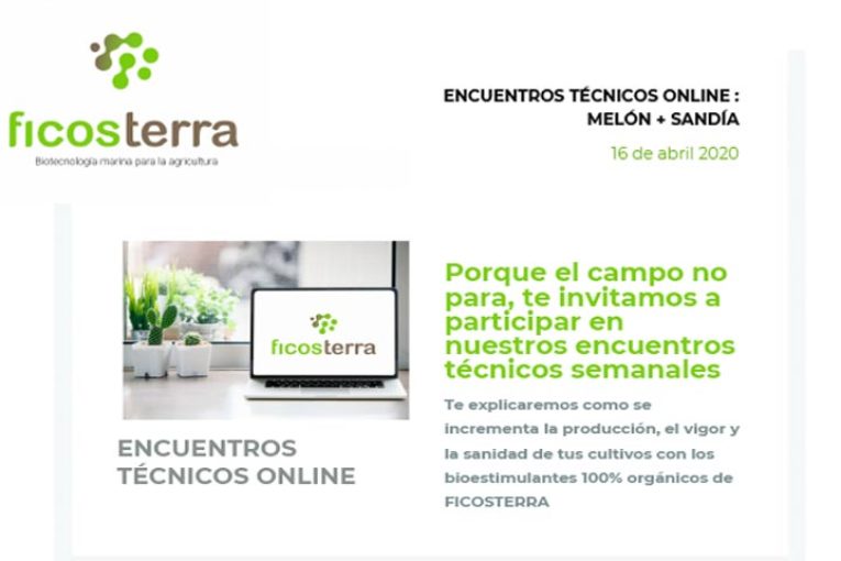 Día 16 de abril. Encuentros técnicos online: melón y sandía