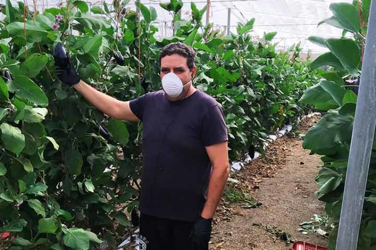Reflexiones de un agricultor de El Ejido en época de pandemia
