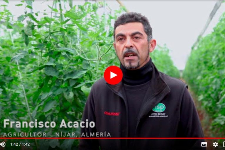 Nostoc pone al trips en cuarentena