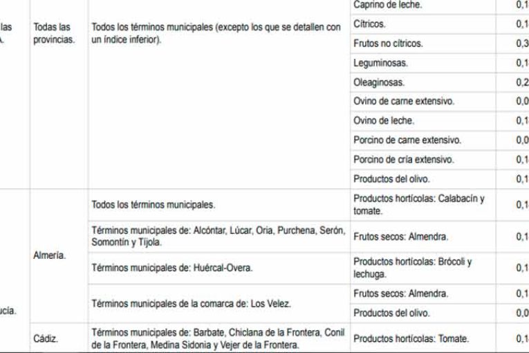 En Almería solo tomate y calabacín tendrán rebaja fiscal