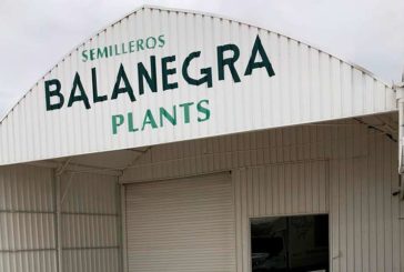 Hortocampo adquiere el semillero Balanegra Plants
