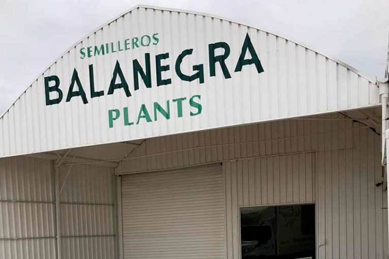 Hortocampo adquiere el semillero Balanegra Plants