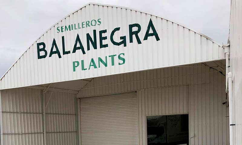 Hortocampo adquiere el semillero Balanegra Plants
