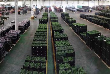 Agroponiente eleva sus ventas a supermercados durante el Covid19