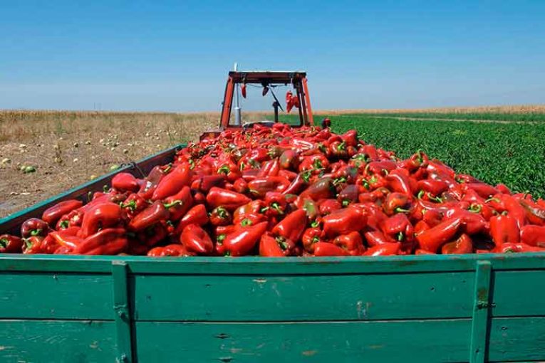 La Junta prorroga hasta el 15 de octubre las sanciones del DAT