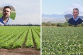 Dagonis pone freno al oídio y otras enfermedades en los meses de calor