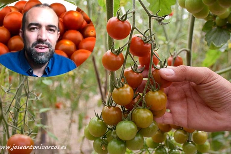 Karelya saca al cherry del commodity y le da valor
