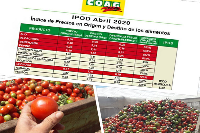 El tomate multiplica su precio tres veces del campo a la mesa durante el Covid