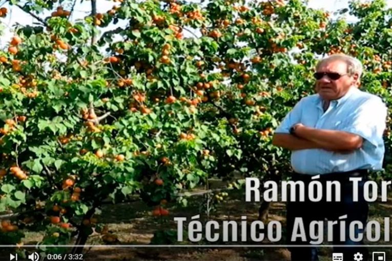 Green Has pone en marcha su proyecto audiovisual para “oír la voz del mercado”