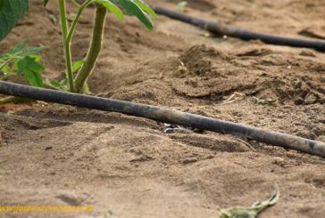 El agricultor que mejor use el agua podrá certificar su huella hídrica