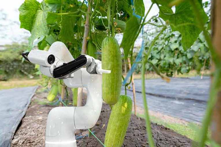 Robotización del campo español tras el Covid-19