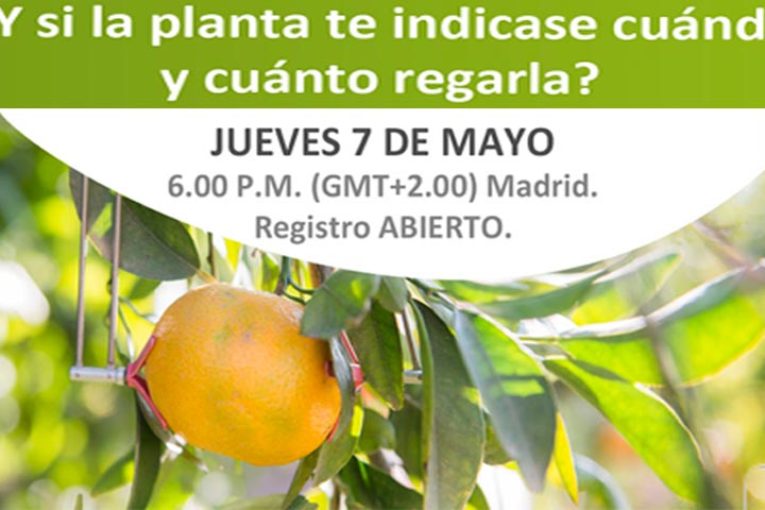 Día 7 de mayo. ¿Y si la planta te indicase cuándo y cuánto regar?