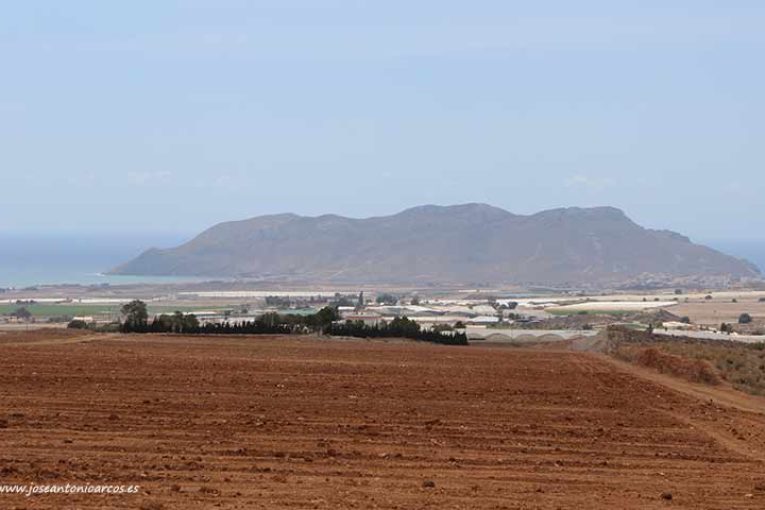 Nace la 'comunidad de agricultores' que enseña a diversificar cultivos