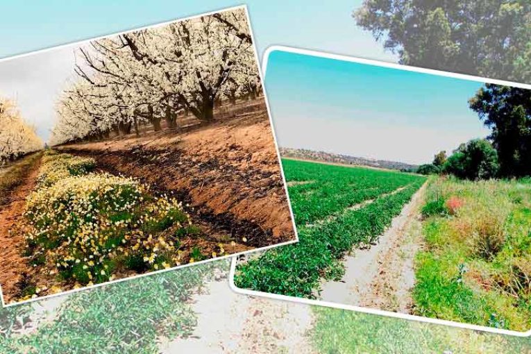 Una agricultura productiva y rentable fomentando la biodiversidad es posible