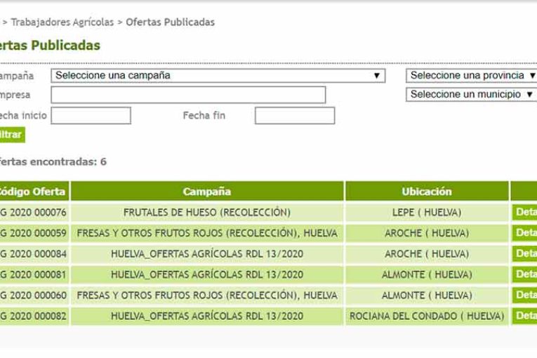 Ofertas de empleo para cubrir las campañas agrícolas