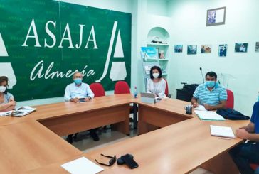 Asaja, Coag y Upa retoman la unidad de acción del sector hortofrutícola