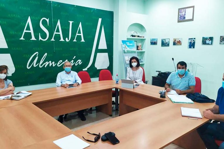Asaja, Coag y Upa retoman la unidad de acción del sector hortofrutícola