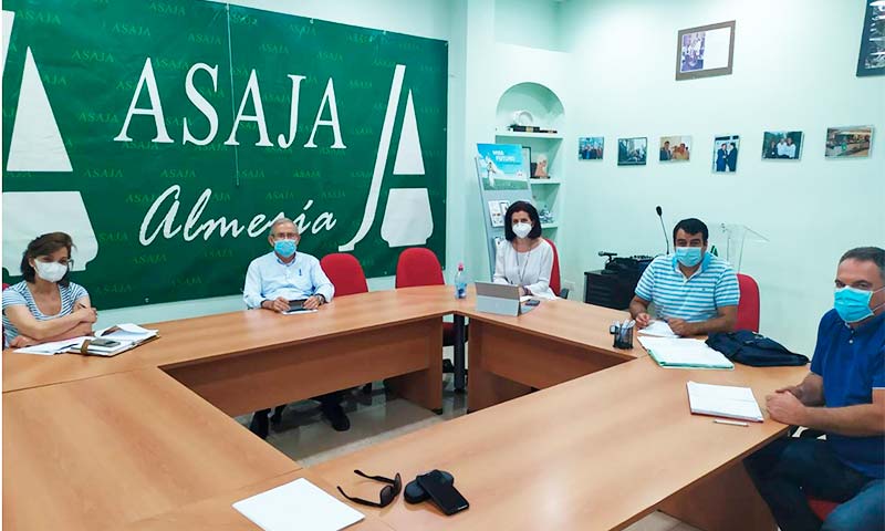 Asaja, Coag y Upa retoman la unidad de acción del sector hortofrutícola