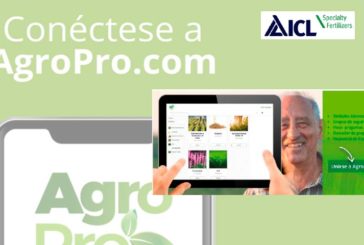 ICL crea la comunidad AgroPro para nutrición de cultivos