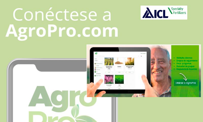 ICL crea la comunidad AgroPro para nutrición de cultivos