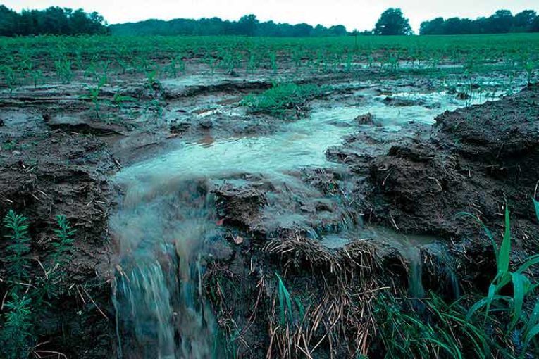 Nuevas App para evitar la degradación y pérdida de suelos agrícolas