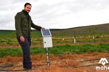 Automatización del riego con sensores de humedad en almendros