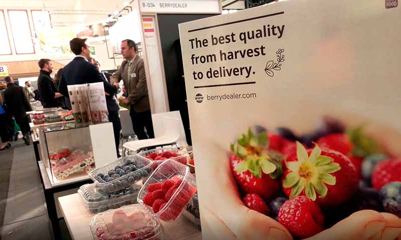 Cifras récord en la exportación andaluza de frutos rojos