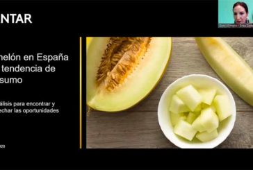 El mercado del melón en España tiene potencial para facturar 100 millones más