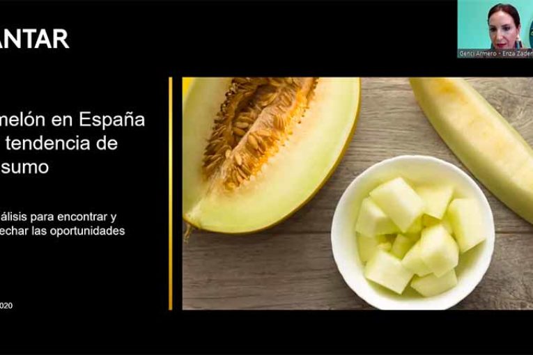 El mercado del melón en España tiene potencial para facturar 100 millones más