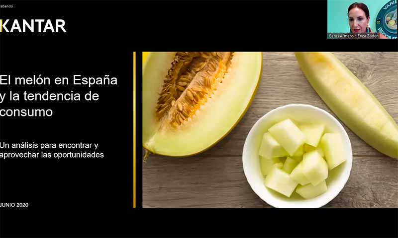 El mercado del melón en España tiene potencial para facturar 100 millones más