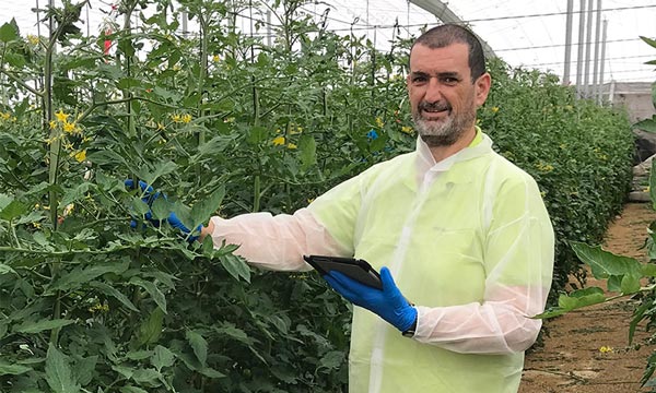 Ismael Lorente, genetista de tomate de Meridiem Seeds. /joseantonioarcos.es