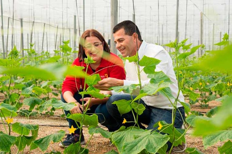 La Unión entra en el ecológico