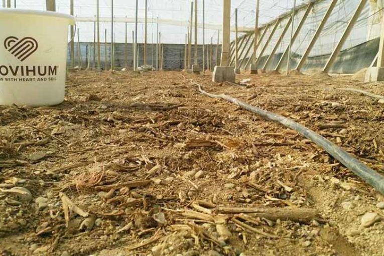 El agua que se nos va en los drenajes. Claves para evitar su desperdicio
