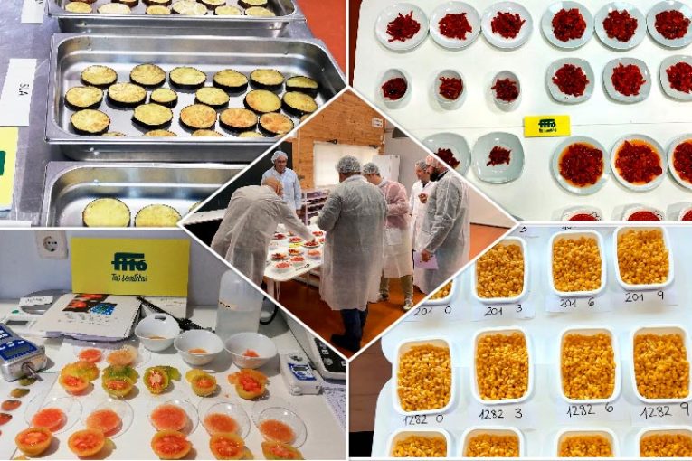 Fitó y Cocina de Ideas adaptan las variedades al gusto del consumidor
