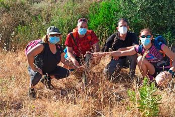 La reforestación de la Sierra de Gádor sobrevive al confinamiento