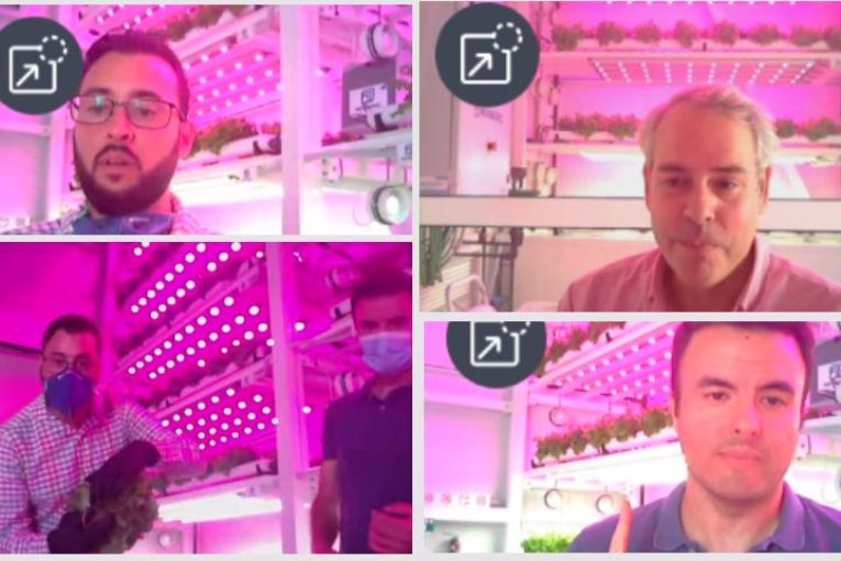 El cultivo vertical está de moda