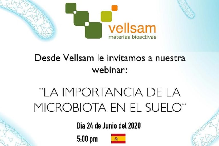 Día 24 de junio. Webinar 'La importacia de la microbiota en el suelo'