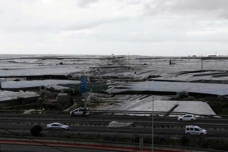 Se abre el período para contratar seguros de cultivos protegidos