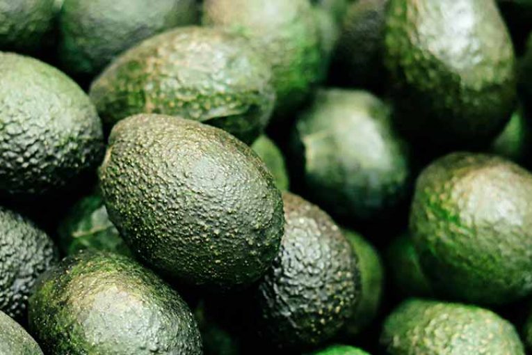 Citrosol mejora la conservación y transporte de aguacate con un nuevo lavado poscosecha y un recubrimiento