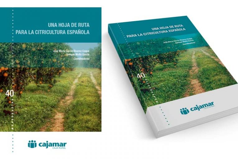 Cajamar traza la hoja de ruta de los cítricos en España