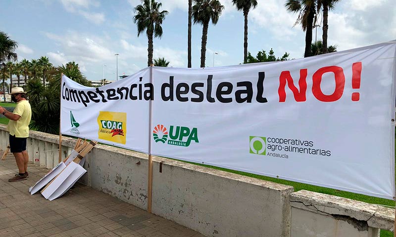 Asaja, Coag y Upa protestan en el Puerto de Algeciras. /joseantonioarcos.es